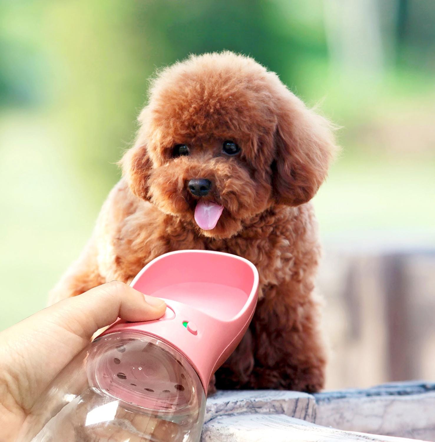 Smart Pet Water Bottle