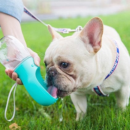 Smart Pet Water Bottle