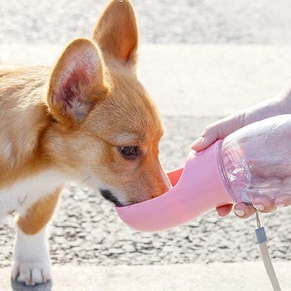 Smart Pet Water Bottle