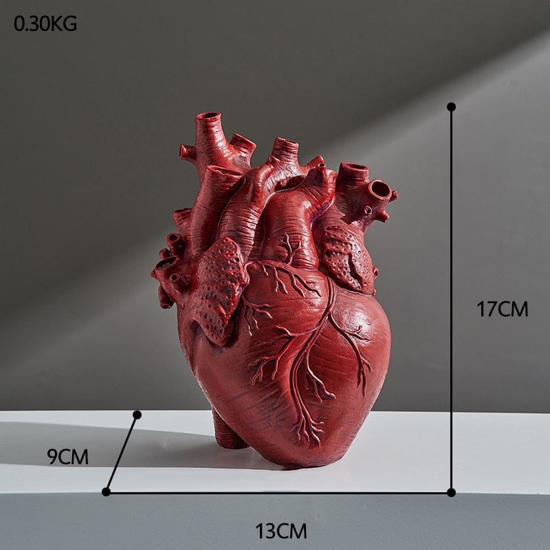 Anatomical Heart Vase