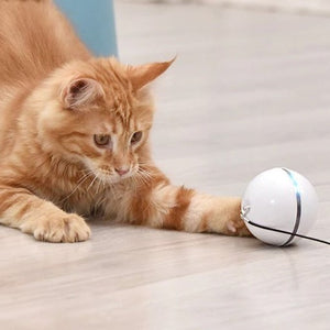Smart Self-Rotating Magic Ball
